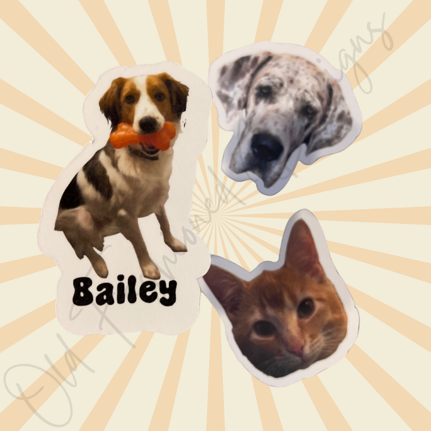Custom Pet Sticker